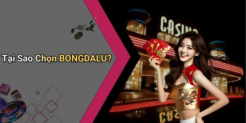 Tại Sao Chọn BONGDALU?
