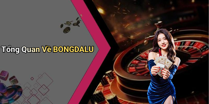Tổng Quan Về BONGDALU