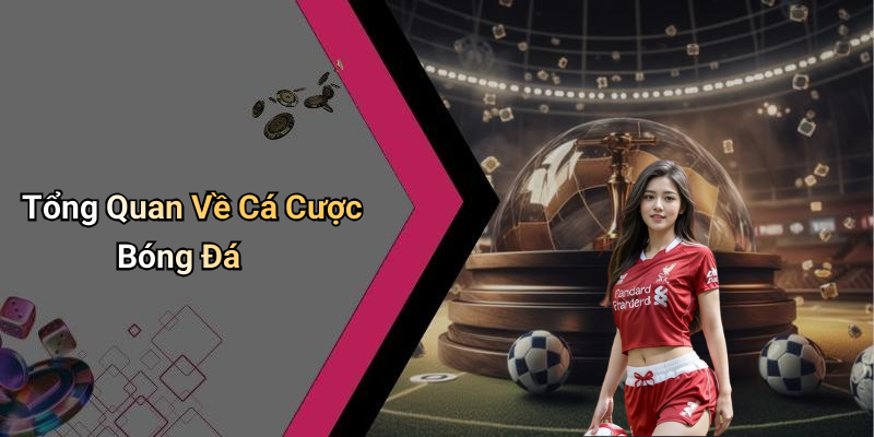Tổng Quan Về Cá Cược Bóng Đá