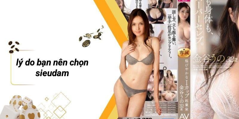 Lý Do Bạn Nên Chọn SIEUDAM