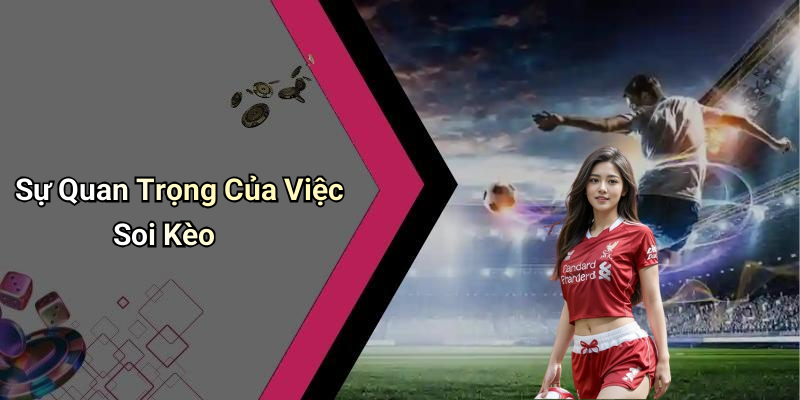 Sự Quan Trọng Của Việc Soi Kèo