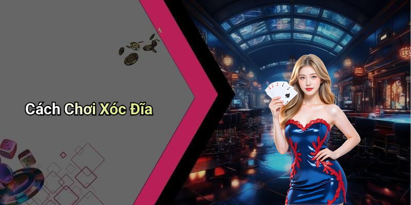 Cách Chơi Xóc Đĩa