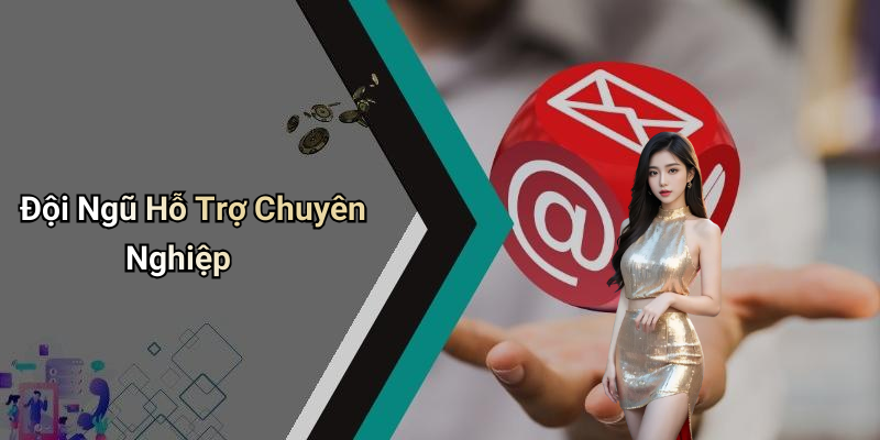 Đội Ngũ Hỗ Trợ Chuyên Nghiệp