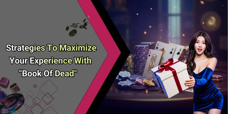 Strategies To Maximize Your Experience With "Book Of Dead"