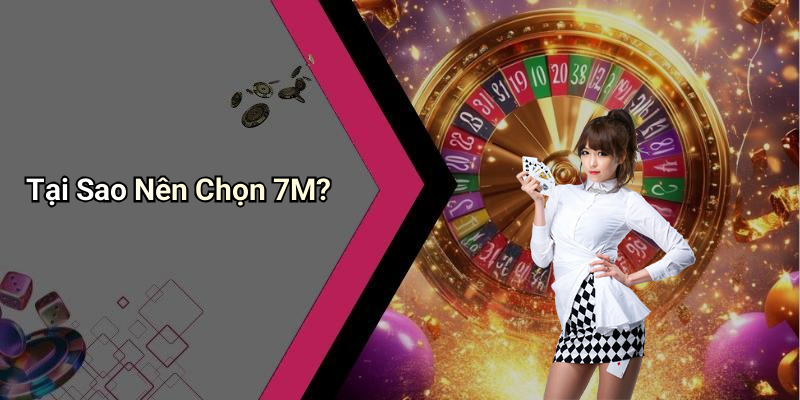 Tại Sao Nên Chọn 7M?