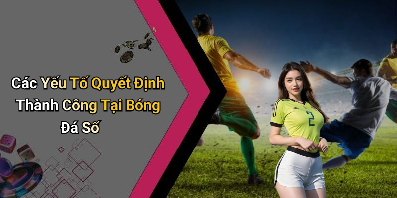 Các Yếu Tố Quyết Định Thành Công Tại Bóng Đá Số