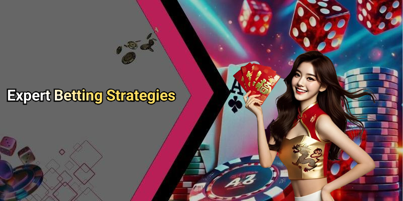 Expert Betting Strategies