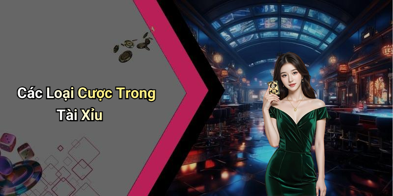 Các Loại Cược Trong Tài Xỉu