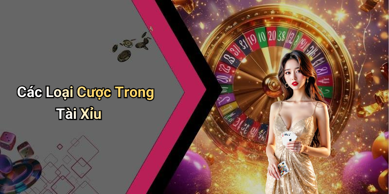 Các Loại Cược Trong Tài Xỉu