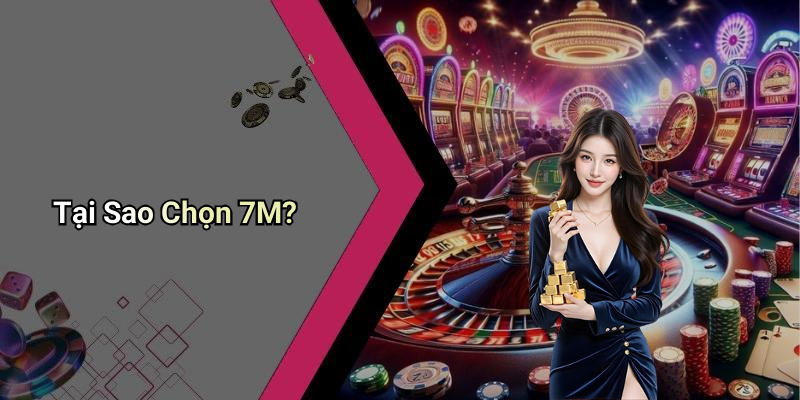Tại Sao Chọn 7M?