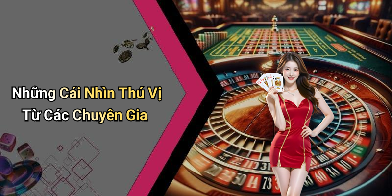Những Cái Nhìn Thú Vị Từ Các Chuyên Gia