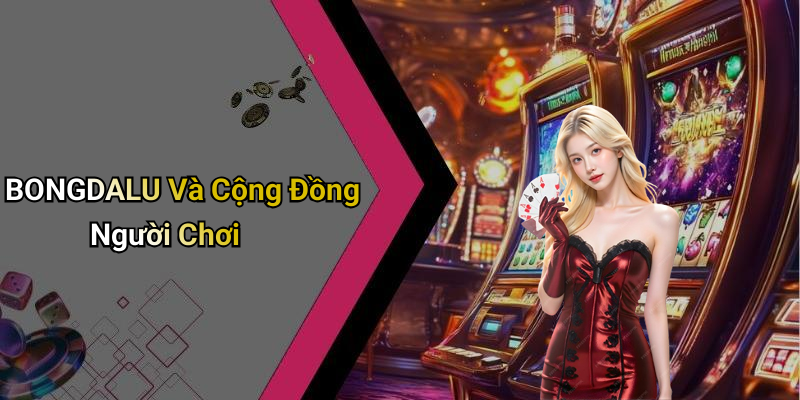 BONGDALU Và Cộng Đồng Người Chơi