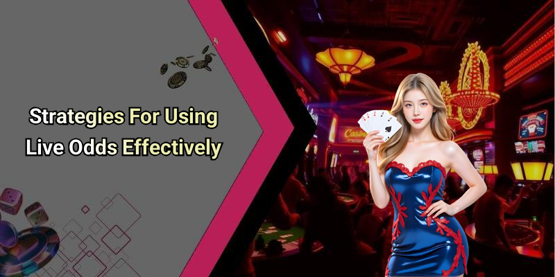 Strategies For Using Live Odds Effectively