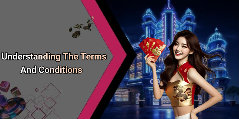 Understanding The Terms And Conditions